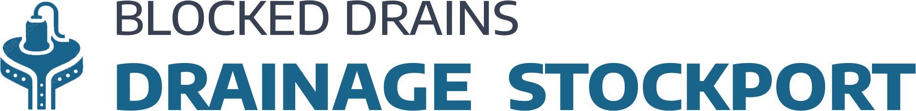 website logo
